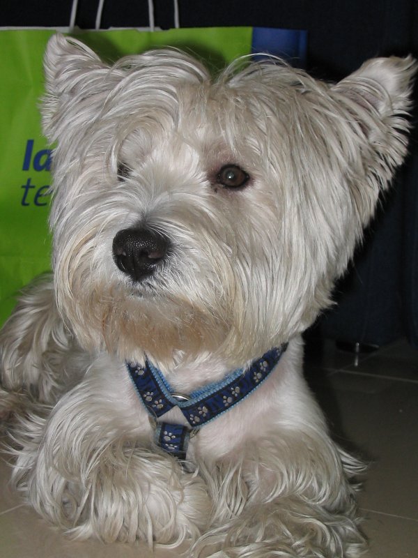 Imagen