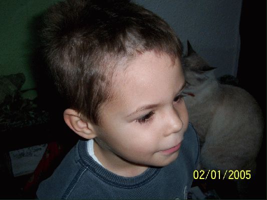 Imagen