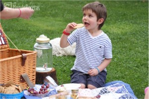 Picnic Tulipán