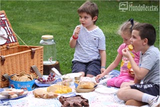 Picnic Tulipán
