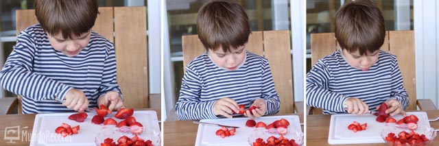 Preparación fresas