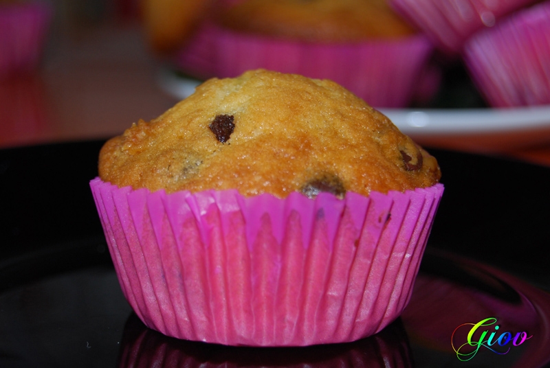 MUFFIN1_-_copia.JPG.61b506e868fd5f14a3570e07cb81d7af
