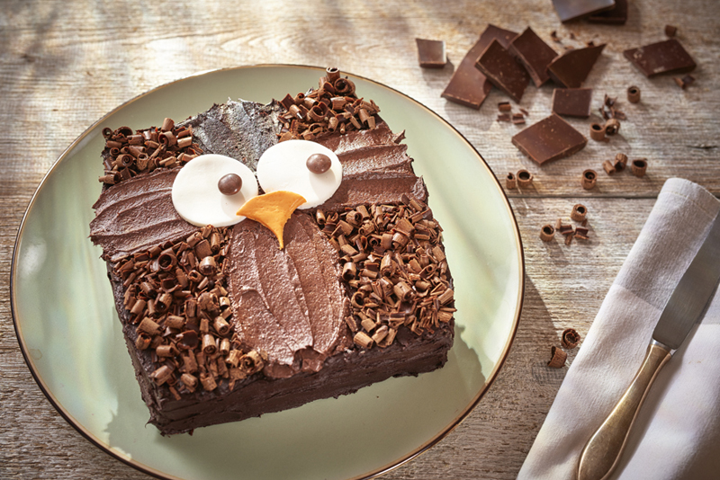 Owl cake_landscape_1