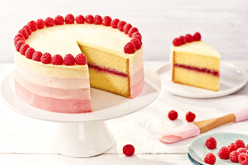 Raspberry ombre cake_landscape_3