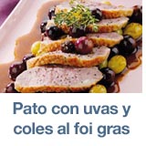 filetes-pato