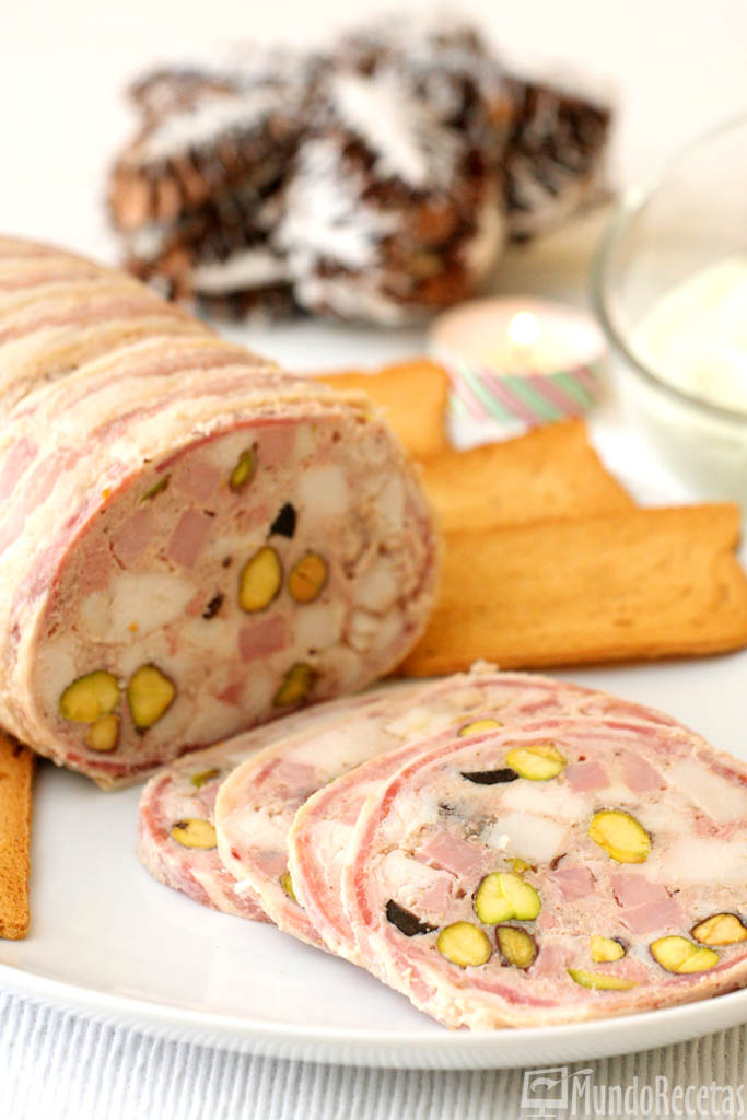 galantina-de-pollo-thermomix-1