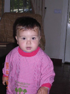 Imagen