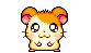 file.php?avatar=32060_1258827496.gif