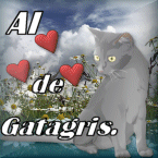 Avatar de Usuario