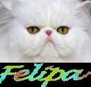Avatar de Usuario