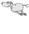 Avatar de Usuario