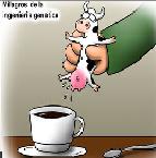 Avatar de Usuario