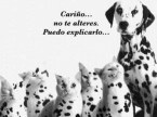 Avatar de Usuario