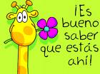 Avatar de Usuario