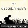 Avatar de Usuario
