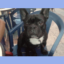 Avatar de Usuario