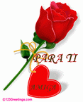 Avatar de Usuario