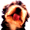 Avatar de Usuario