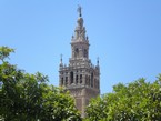 Avatar de Usuario
