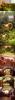 post-158069-14375573573453_thumb.jpg