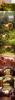 post-158069-14375573573604_thumb.jpg