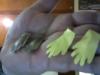 post-160407-14375573869886_thumb.jpg