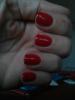 post-134385-14375576917882_thumb.jpg