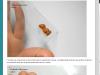 post-79568-14375576901651_thumb.jpg