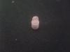 post-115449-14375574020569_thumb.jpg