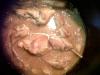 post-157972-14375572865651_thumb.jpg