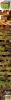 post-123816-14375575036106_thumb.jpg