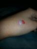 post-165797-14375578097435_thumb.jpg