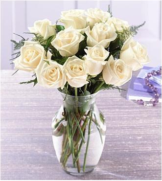 flores.thumb.jpg.732e503c411f4e3266dc20a