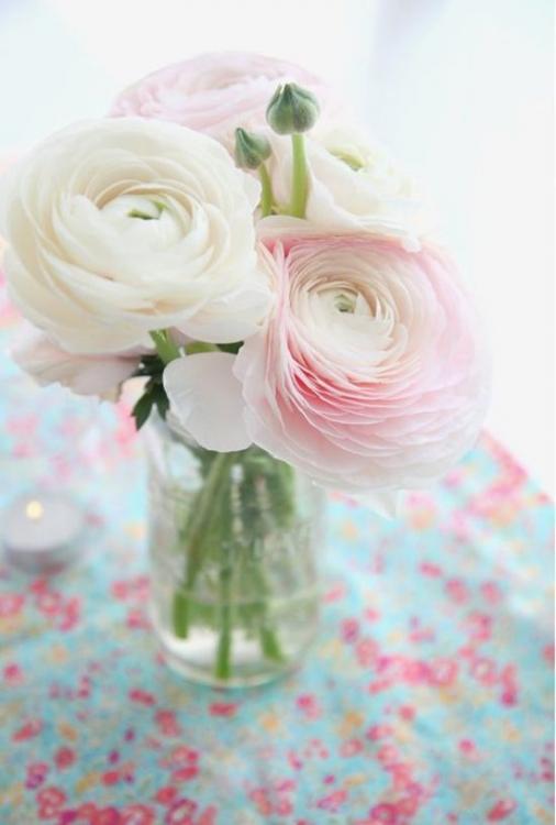 flores.thumb.jpg.d4cca7e97bd2bd734abca8b