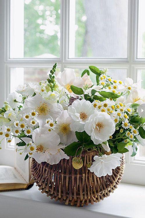 flores.thumb.jpg.e7718760b51abd30db98adb