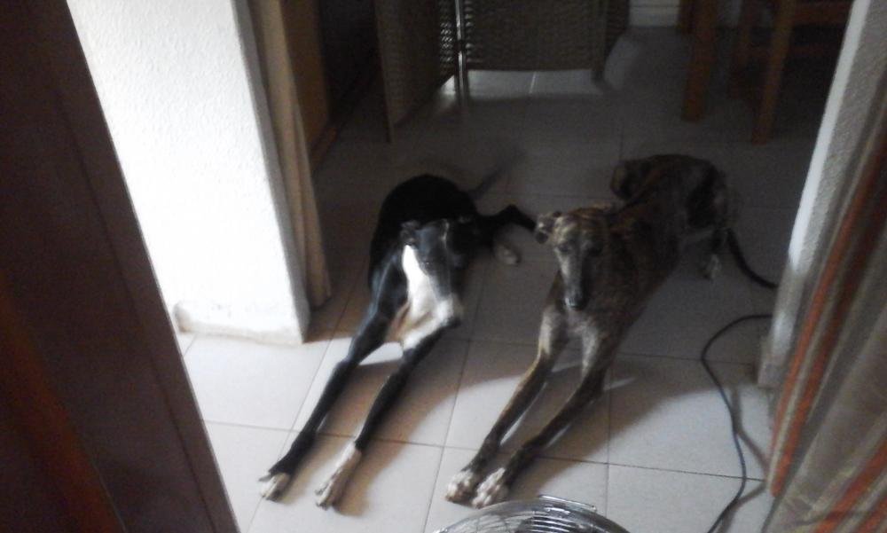 20150804_202412.jpg