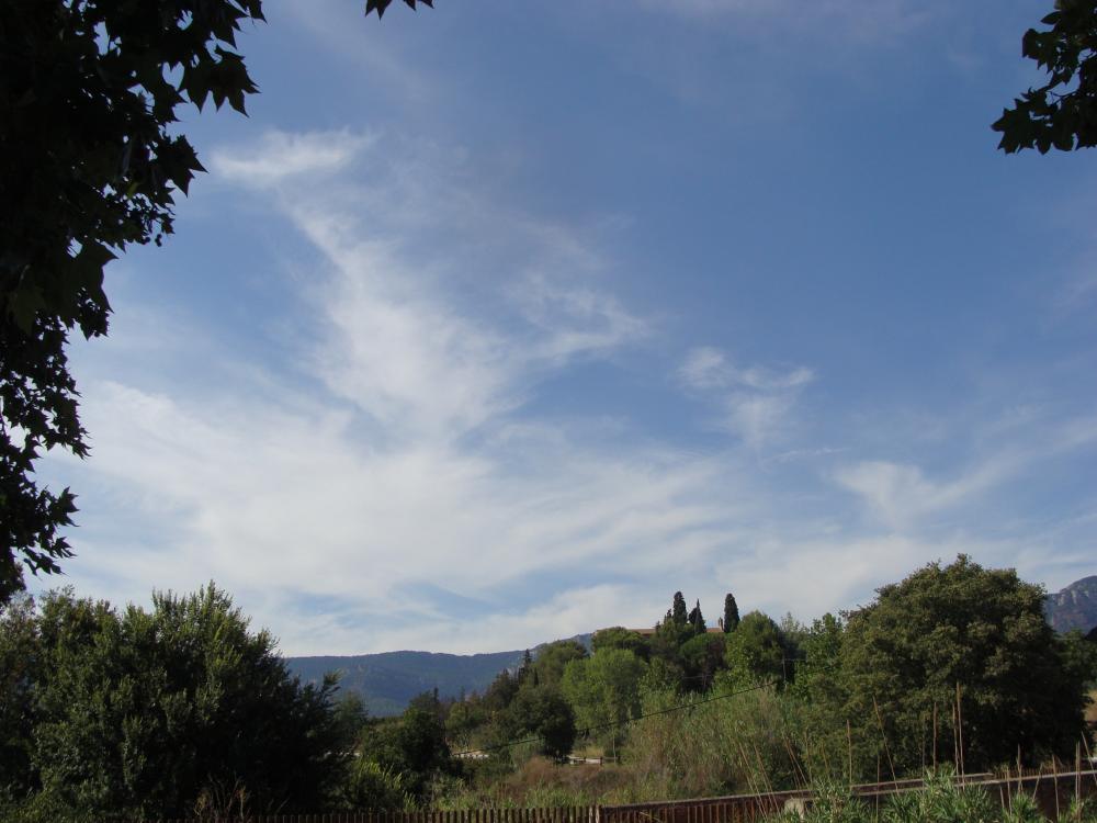 DSC02642.thumb.JPG.96ee6fe95cb85d3cf5b2e