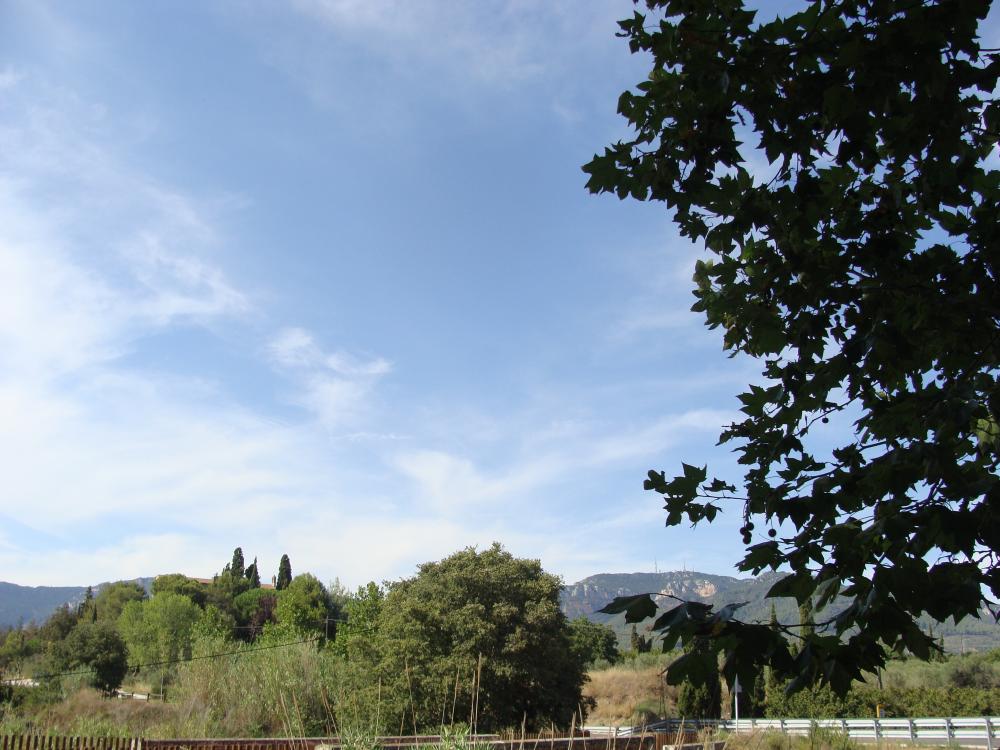 DSC02643.thumb.JPG.125f81d0d99ba4d811cf3