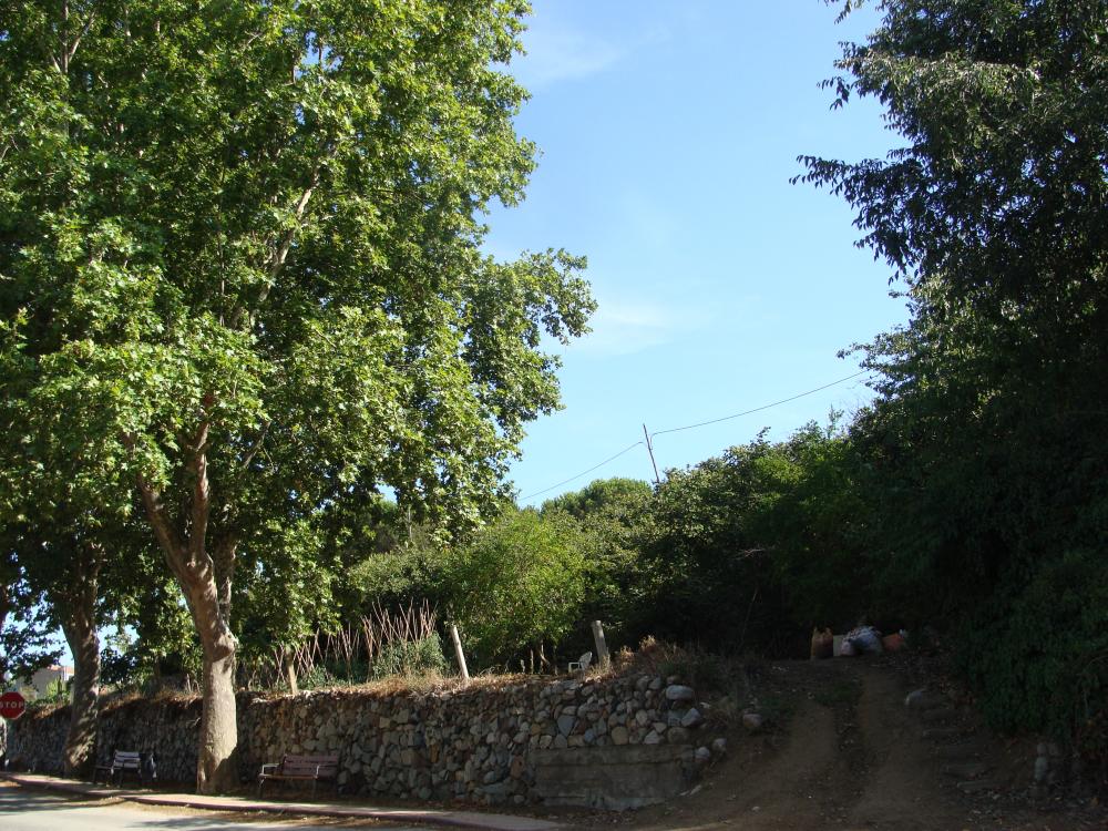 DSC02644.thumb.JPG.ffd0510aa72c6e723dd6d