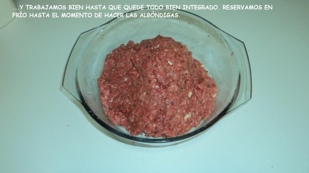 DSC05159.thumb.JPG.07cfbdfe1688b3a940c78