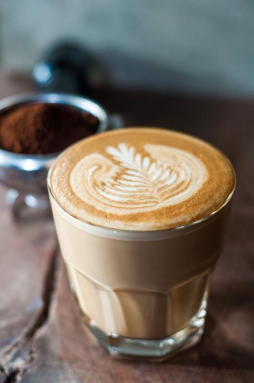 cafeleche.thumb.jpg.efb9e1c3e24f19cd946d