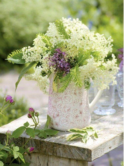 flores.thumb.jpg.238fd403b14c0b5a30054ec