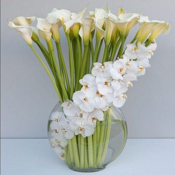flores.thumb.jpg.272d14b6600be16dc782fb2