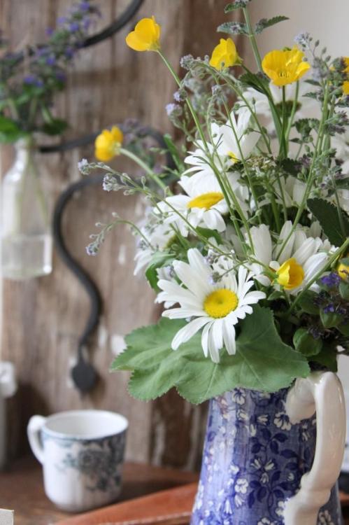 flores.thumb.jpg.8052fe78dc2b8ead69f54f6