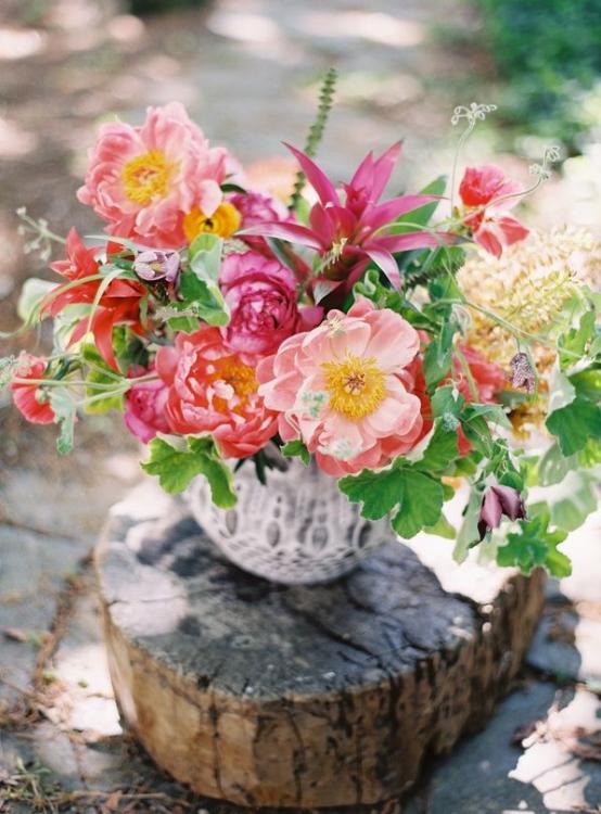 flores.thumb.jpg.d1963a262e05ff7f3d91c4c