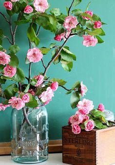 flores.thumb.jpg.d6fc677c137a87566470657