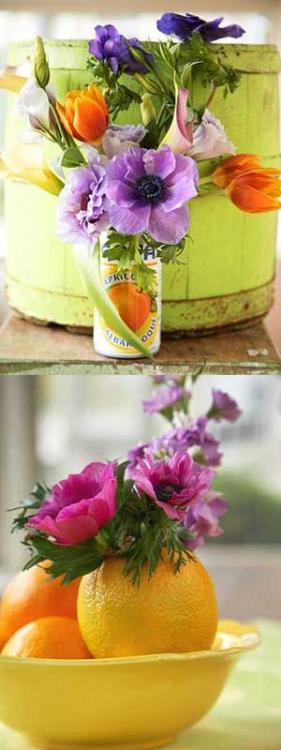 flores.thumb.jpg.e7fb99b4bef8cf30b0aaa88