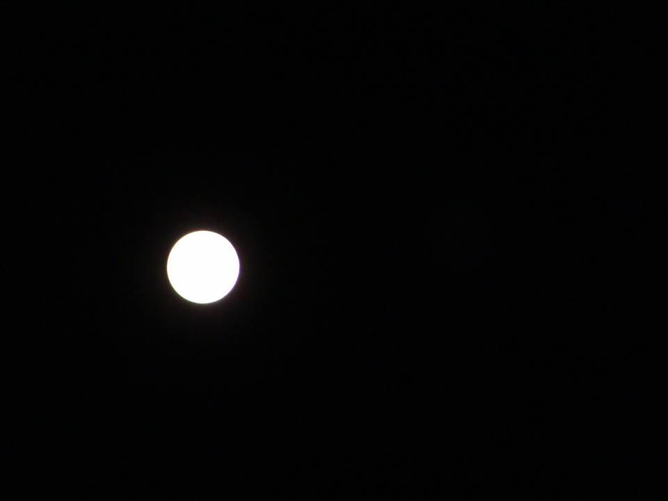 11216722_10208007200318658_9737554556929