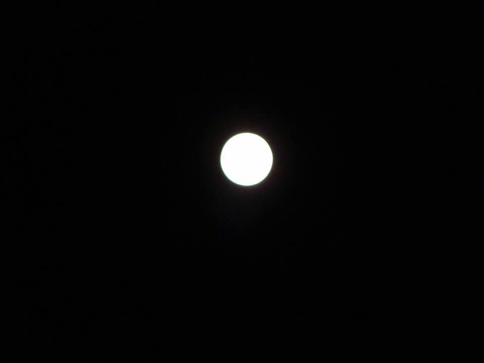 12038057_10208007200358659_4123012602270