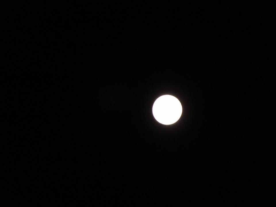 12049681_10208007200398660_5246129490473